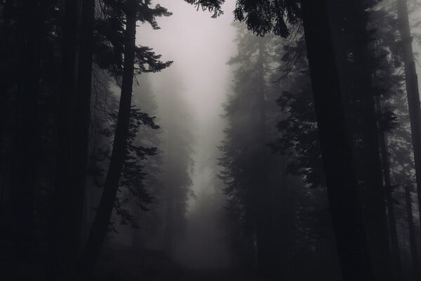 5fbd96bc49de6104c8bbd2cfe86ab7eb