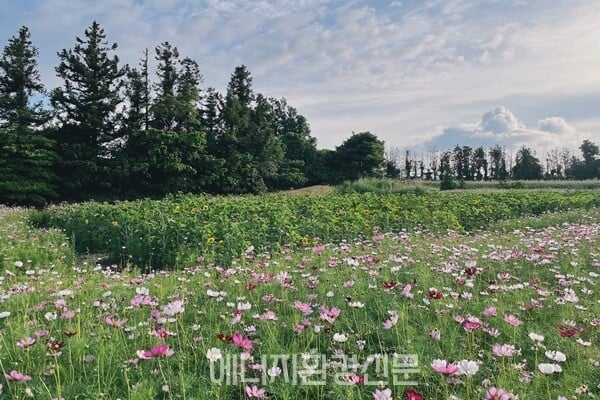 undefined 0e6dc4ddf11ea1f18c275edd4b45a681