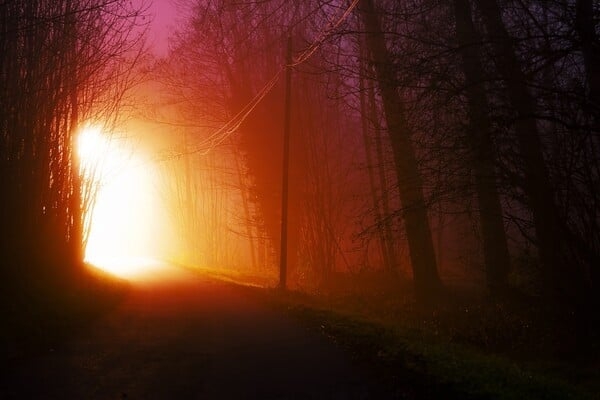 undefined b89d677364ad3e1b31476b8f5a002f74